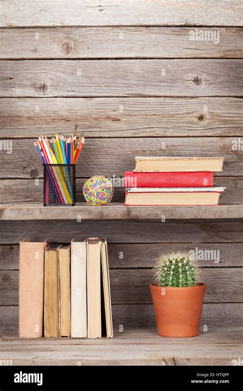 Old Books On A Wooden Shelf Pencils And Cactus Plant With Copy Space