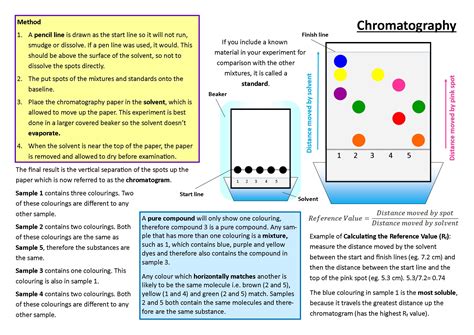 Chromatography Diagram Labeled