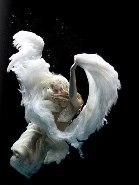 Wings Underwater Photography Underwater Pictures Water Photography