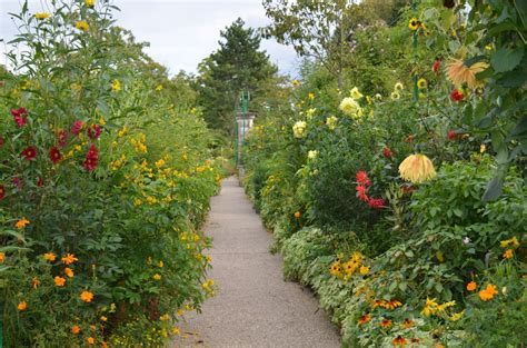 At the chicago botanic garden. Rebecca's Texas Garden: Monet's Giverny Garden: The Clos ...