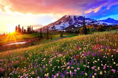 Mountain Meadow At Sunrise Hills Grass Bonito Spring Carpet Sky