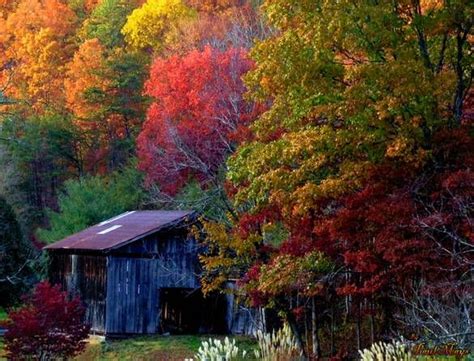 Experience The Breathtaking Beauty Of Fall In Kentucky