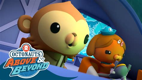 Octonauts Above And Beyond Dashi Chases A Storm Land Adventures