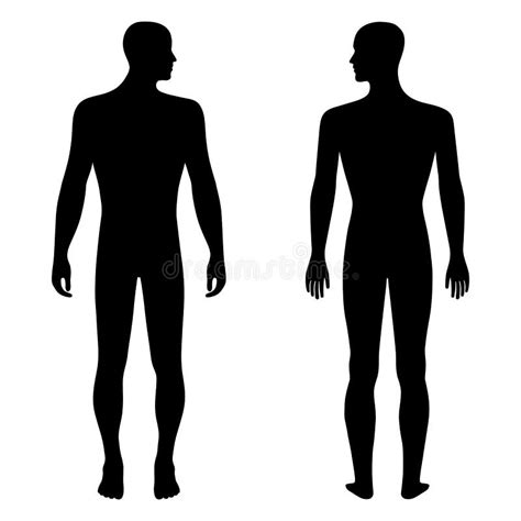 Human Body Outline Front Back Stock Illustrations 647 Human Body