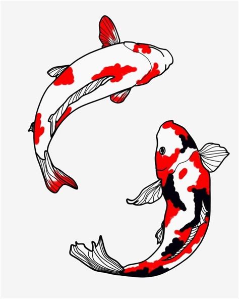 Red And Black Koi Koi Fish Carp Hand Drawn Illustration Antiquity Two