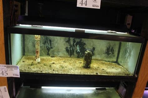 30 Gallon Breeder Aquarium Drilled W Glass Top Light Bulkhead And