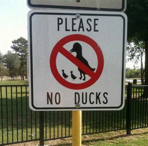 20 Signs That Make Absolutely No Sense Gallery