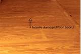 Termite Damage Floor Photos