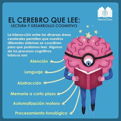 El Cerebro Que Lee Blog De Biblioteca Escolar Digital