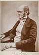 Darwin y los exégetas extremistas | Charles Darwin, Herbert Spencer ...