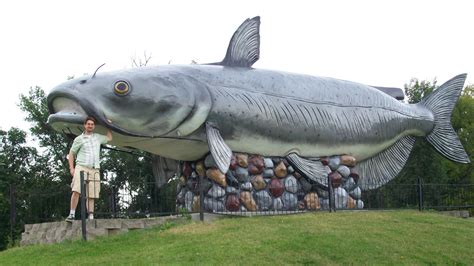 And It Was This Big Worlds Largest Catfish And Thats Right Me