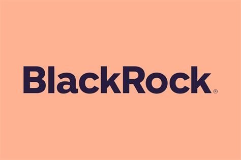 BlackRock’s Climate Warning Needs to Match their Actions