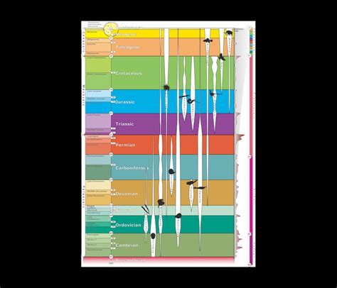 Geologic Timescale Chart Diagram Graphic Poster Print Geology Etsy