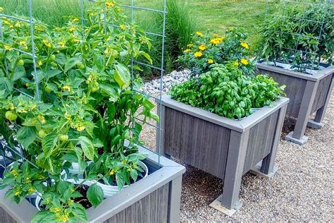 We recently moved into another home and i'm still planning some landscaping ideas for the partially completed back yard. The DIY 5 Gallon Bucket Planter Box - The Best Garden ...