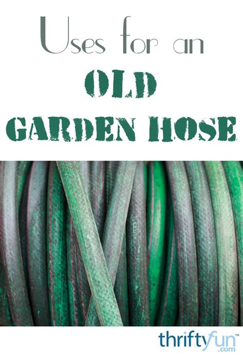 Uses for Old Garden Hose | ThriftyFun