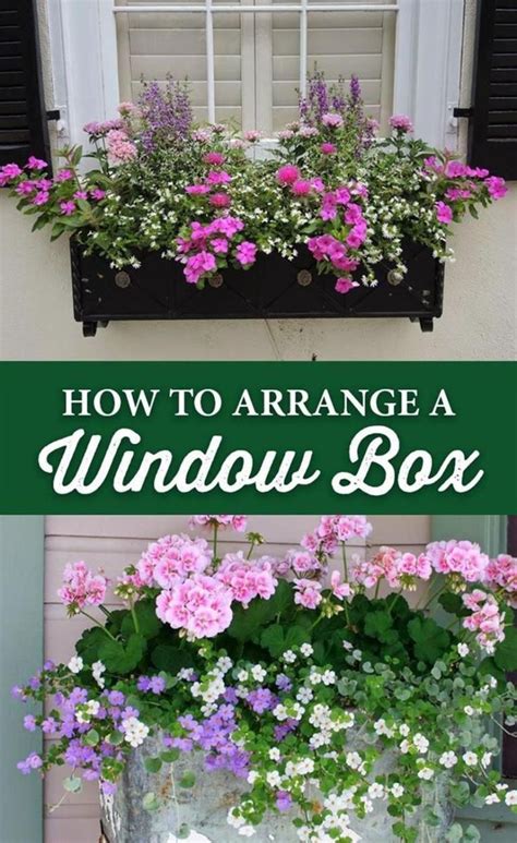 Flower Box Ideas For Windows