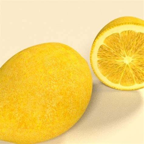 Lemon Cg Textures And 3d Models From 3docean