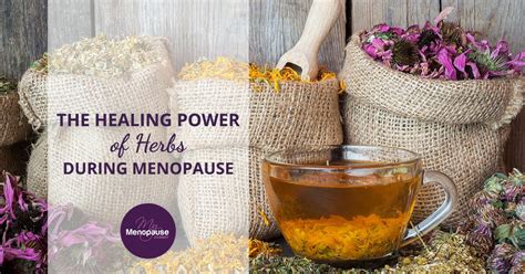 best herbs for menopause to balance hormones and relieve symptoms