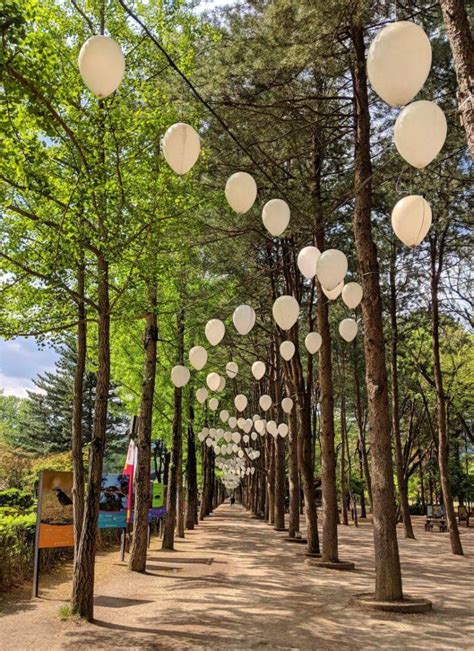 Visit Nami Island Petite France And Garden Of Morning Calm In