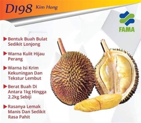 3.dijalankan di rumah / kedai oleh ahli keluarga dan beberapa orang pekerja upahan. 10 Jenis Baka Durian Paling Popular Digilai Ramai Di ...