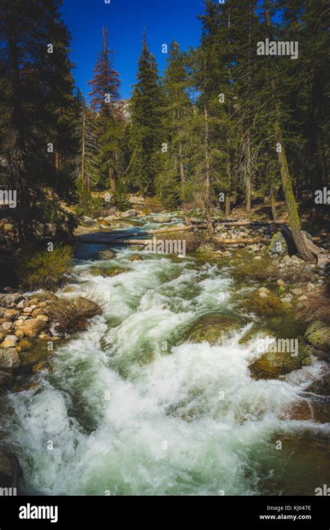 Marble Fork Kaweah River Flowing Through The Dense Forest Along The