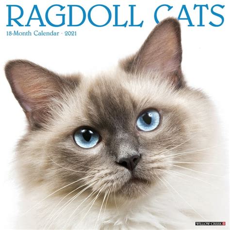 Ragdoll Cats 2021 Wall Calendar Other