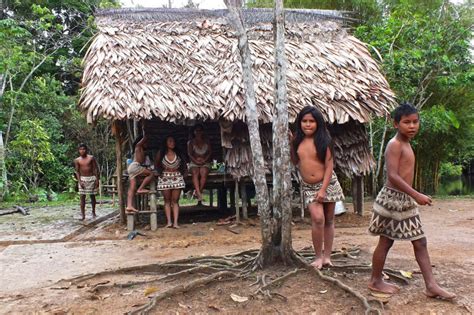 Escuchando A Los Indígenas Calidad De Vida Respetando La Naturaleza
