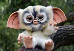 Bad Mogwai | Cute fantasy creatures, Cute animal photos, Fantasy art dolls