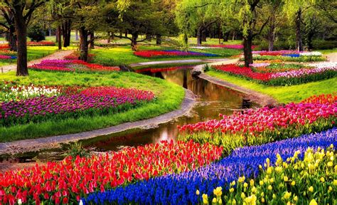 Keukenhof A Haven Of Tulips In Amsterdam The Netherlands Traveldigg