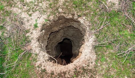 Mans Ex Finds Him Stuck In Hole Dug By Her House