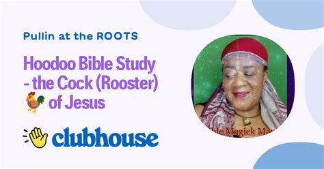 Hoodoo Bible Study The Cock Rooster Of Jesus