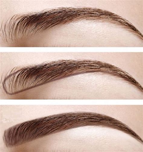 Charlotte's brow lift eyebrow pencil and legendary brows quick and precise eyebrow gel. 5 Eyebrow Mistakes You Don't Know You're Making | Gymbuddy Now