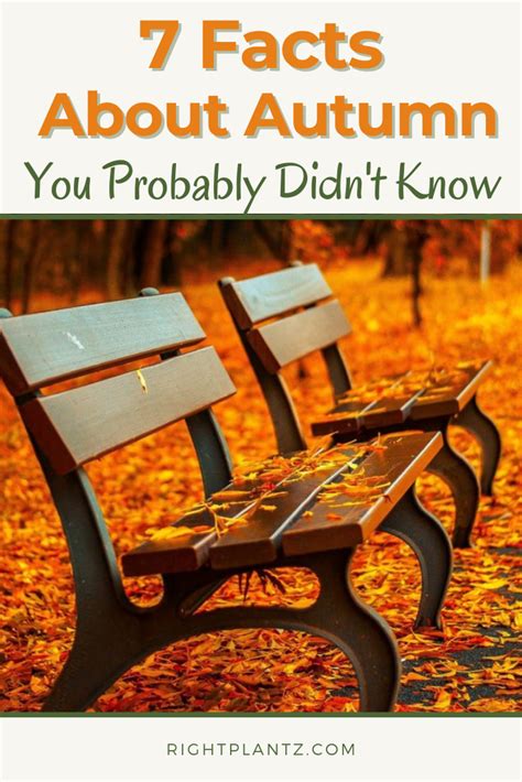 7 Facts About Autumn You Probably Did Not Know Summer Survival