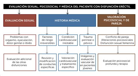 Esquema Diagnóstico En Pacientes Con Disfunción Eréctil Download Scientific Diagram
