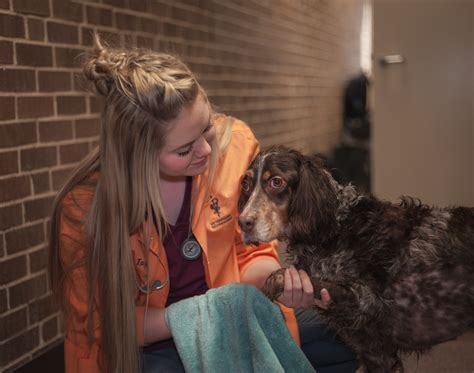 A Look Inside Vet Tech Ridgewater College