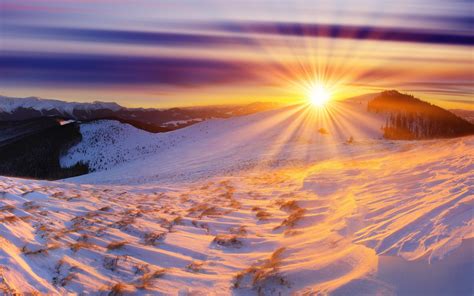 Spectacular Winter Sunrise Wallpaper Nature And Landscape Wallpaper
