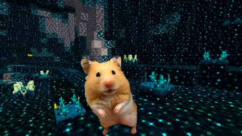 I Created A Maze Inspired By Minecraft And Let My Hamster Homa Explore