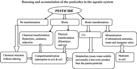 Flow Chart Of The Pesticides Through The Different Routes In Aquatic