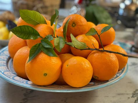 Friday Fruits Fresh Picked Oranges Surreyfarms A Serene Haven In