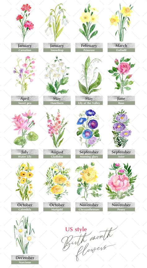 Watercolor Birth Month Flowers 1143444 Illustrations Design