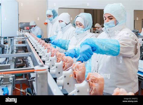 Group Of Workers Working At A Chicken Factory Food Processing Plant