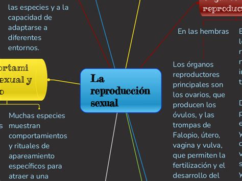 Reproduccion Sexual Mind Map The Best Porn Website