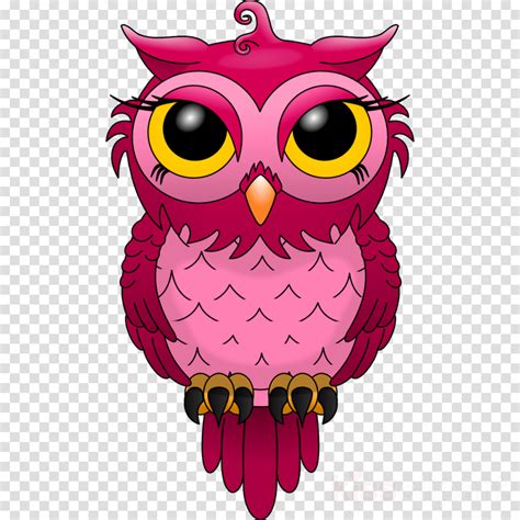 Free Owl Clipart Transparent Background Download Free
