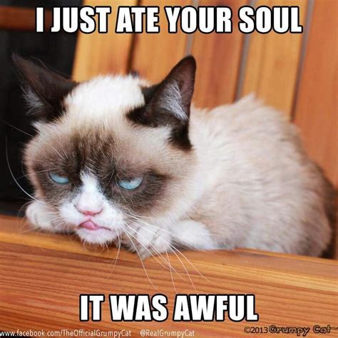 I Ate Your Soul Grumpy Cat Grumpy Cat Humor Grumpy Cat Quotes