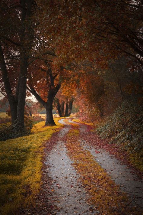 Magical Autumn By Alex Kaßner 500px Nature Autumn Photography Magical