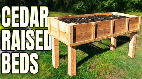 The Secret To Diy Cedar Raised Garden Beds Gardeninbloom Com