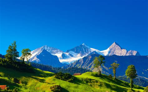 ダウンロード壁紙 2560x1600 スイス、アルプス、山、緑の草、木、青空 Hdのデスクトップの背景