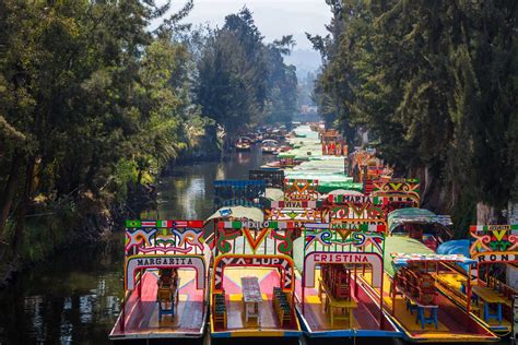 Floating Gardens Of Xochimilco Facts Beautiful Flower Arrangements