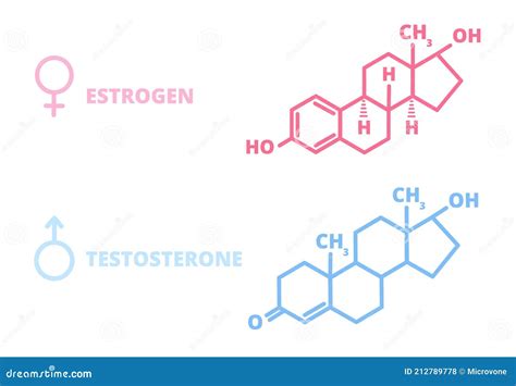 Sex Hormones Laboratory Symbol Hormone Estrogen Testosterone Chemical Structure Stock Vector