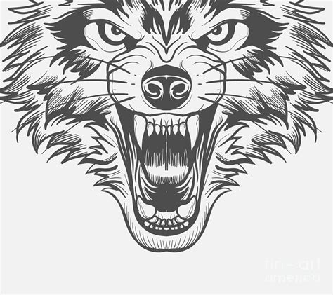 Wolf Scary Roar Howl Animal Wild Beast Mouth Teeth Face Digital Art By